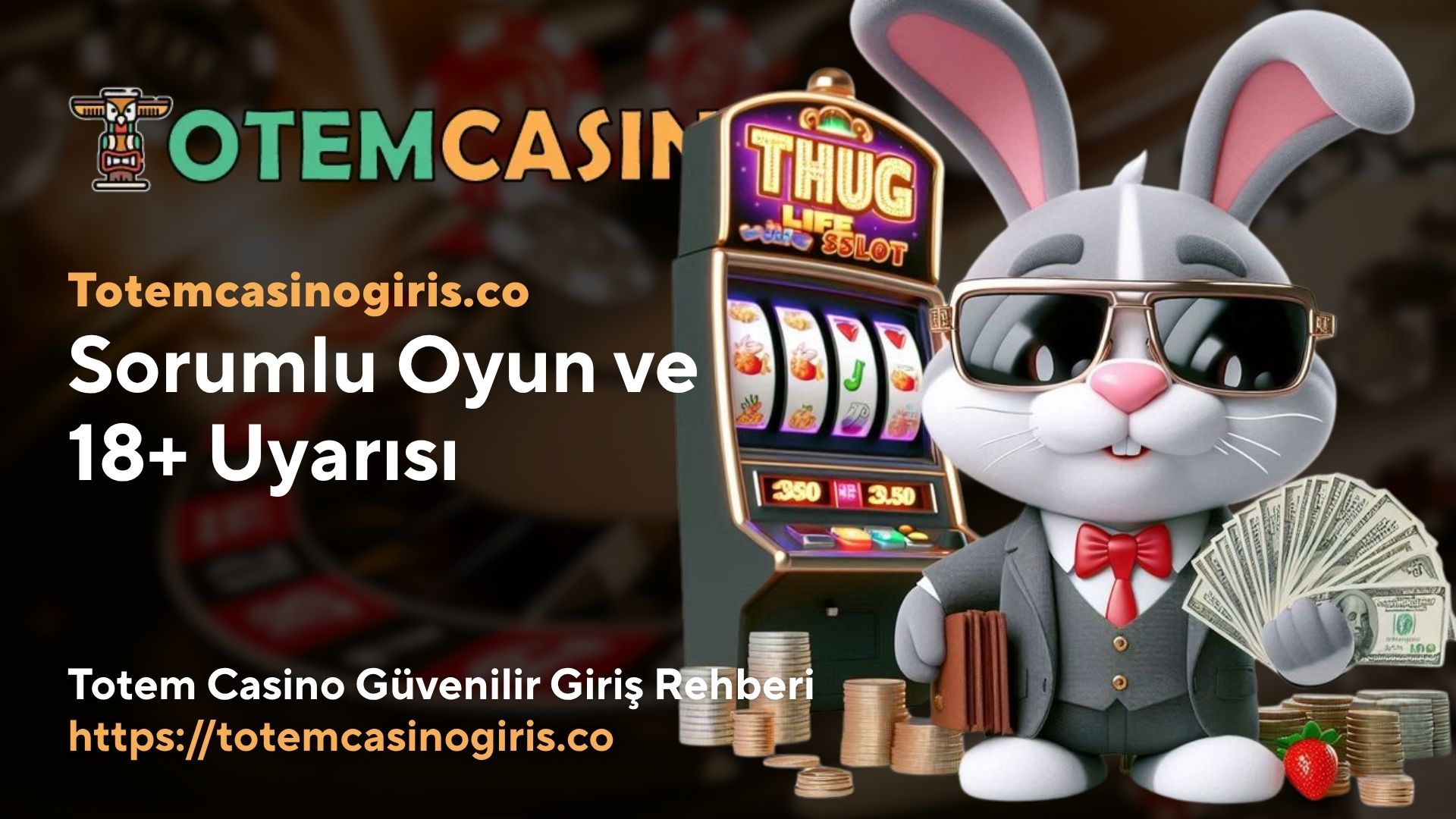 Sorumlu Oyun ve 18+ Uyarısı